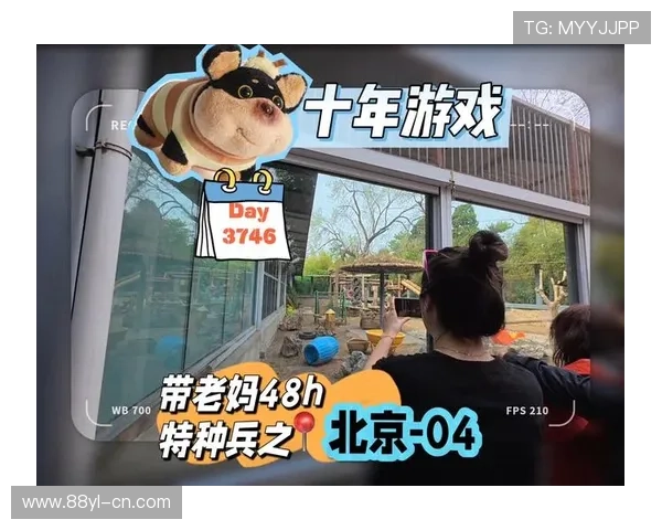 太子线上娱乐：多样化游戏类型满足不同玩家的娱乐需求